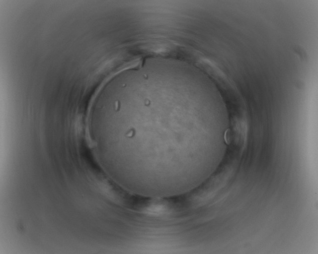 X0000115580612200911101149