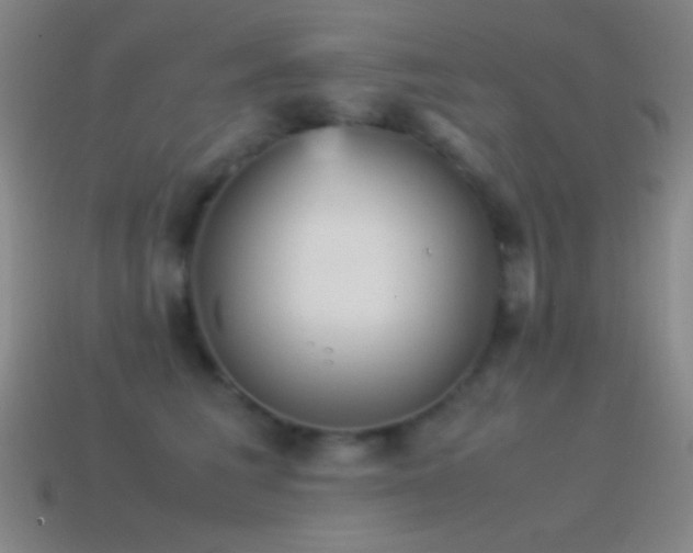 X0000115580613200911101149