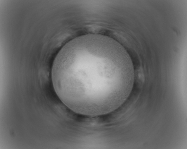 X0000115580615200911101149