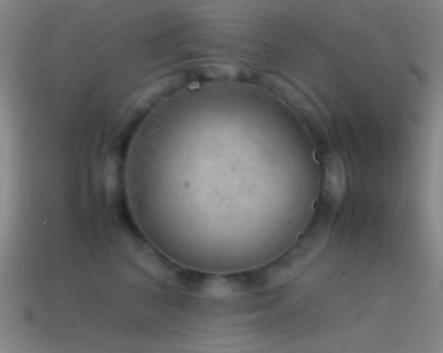 X0000115580616200911101149