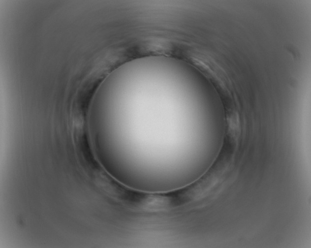 X0000115580617200911101149