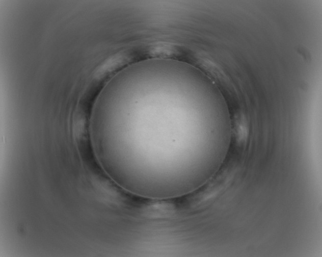 X0000115580619200911101149