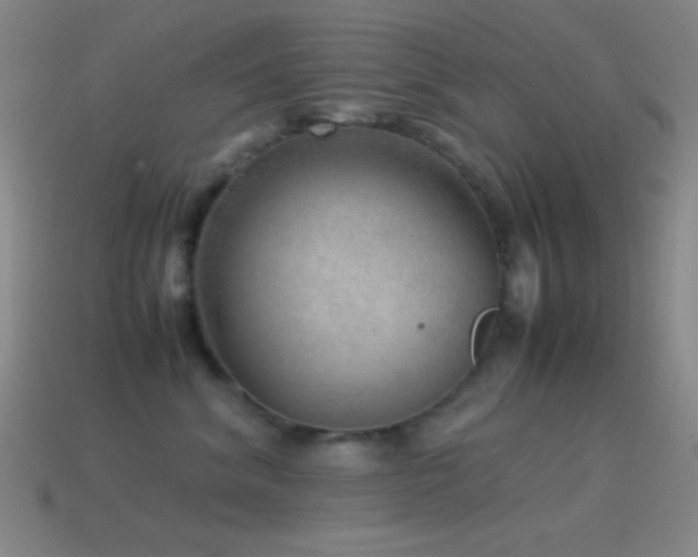 X0000115580620200911101149