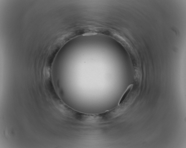 X0000115580621200911101149