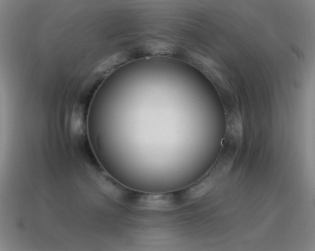 X0000115580622200911101149