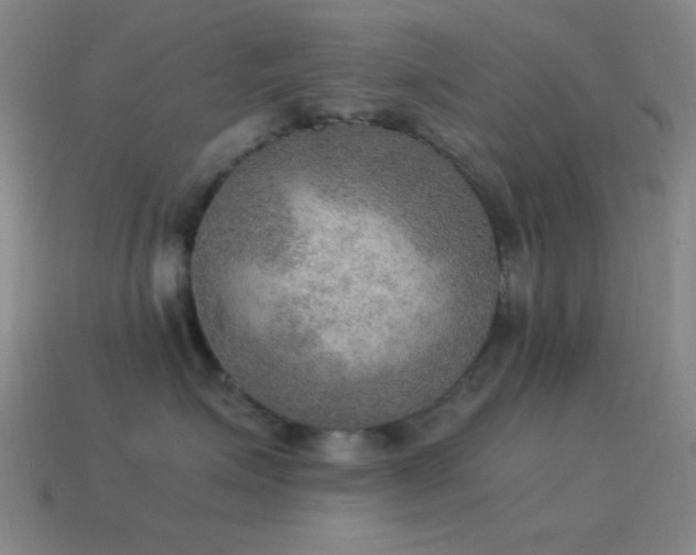 X0000115580623200911101149