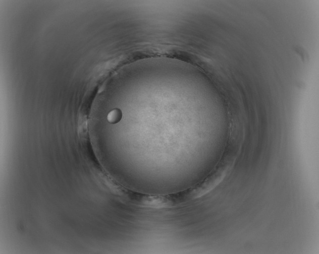 X0000115580624200911101149