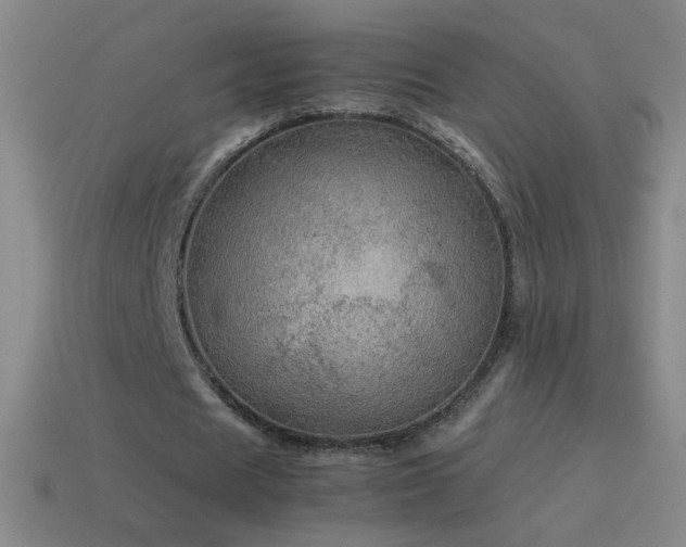 X0000115580625200911101148