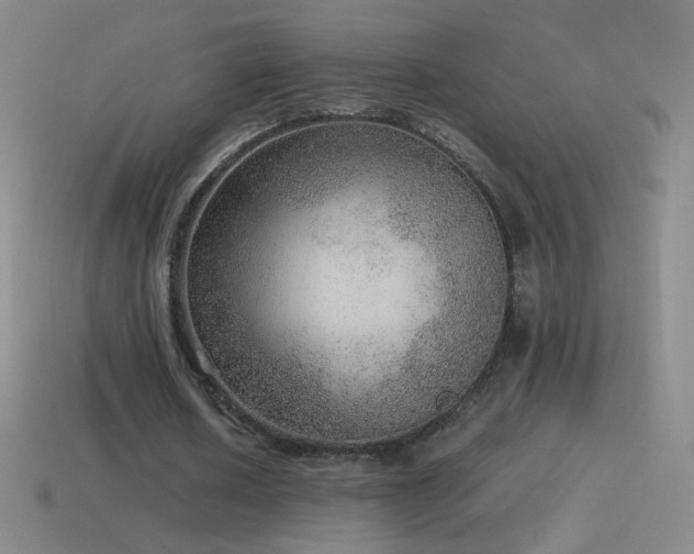 X0000115580626200911101148