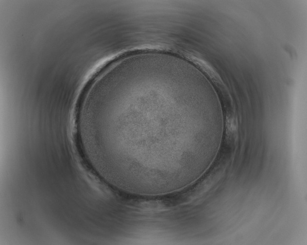 X0000115580628200911101148