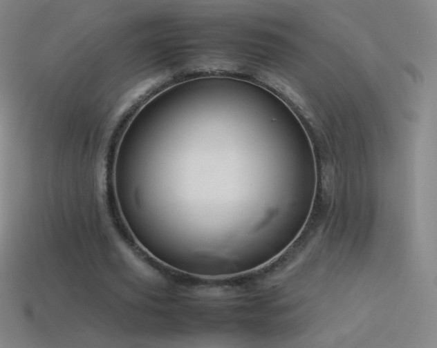 X0000115580629200911101148