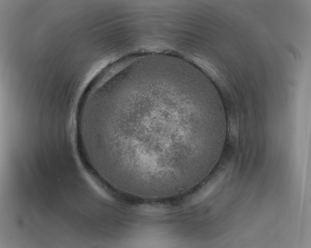 X0000115580630200911101148