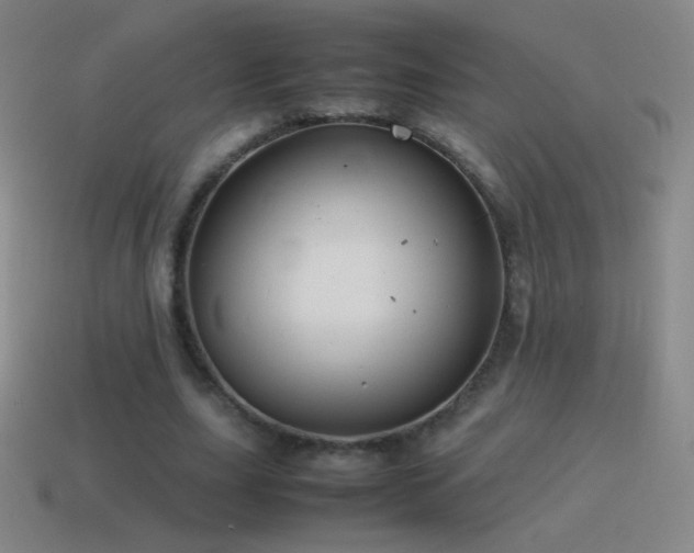 X0000115580631200911101148