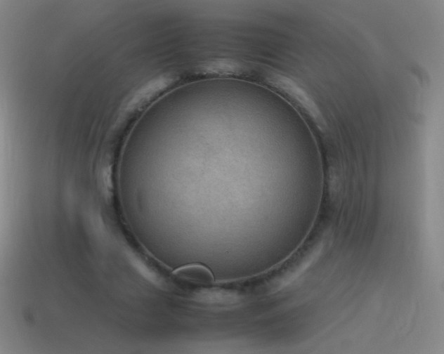 X0000115580633200911101148