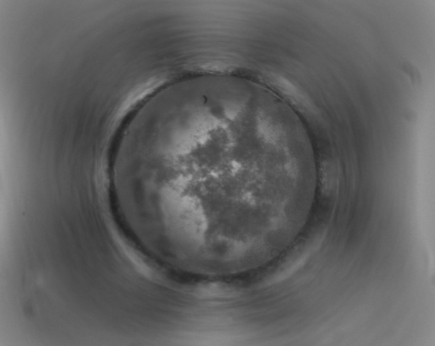 X0000115580634200911101148