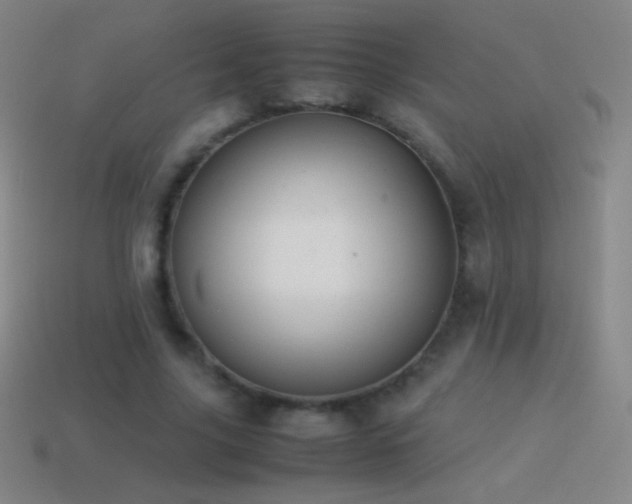 X0000115580635200911101148