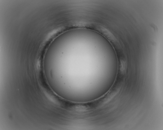 X0000115580636200911101148