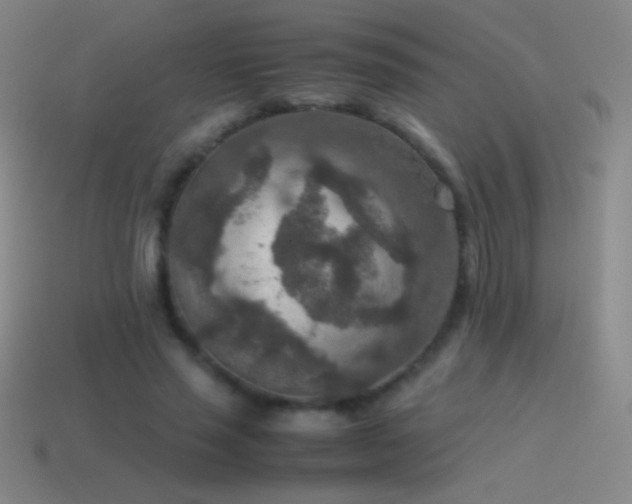 X0000115580637200911101148