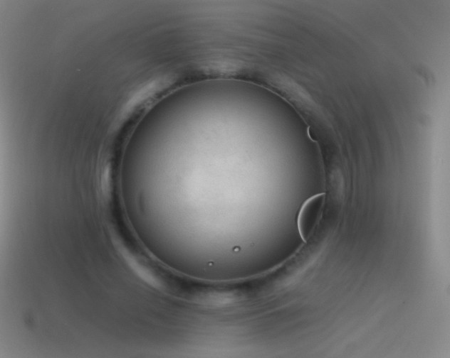 X0000115580638200911101148