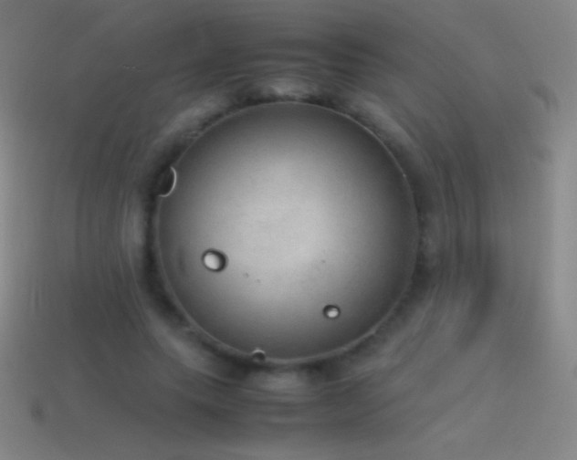 X0000115580639200911101148