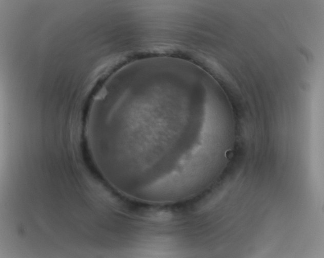 X0000115580640200911101149