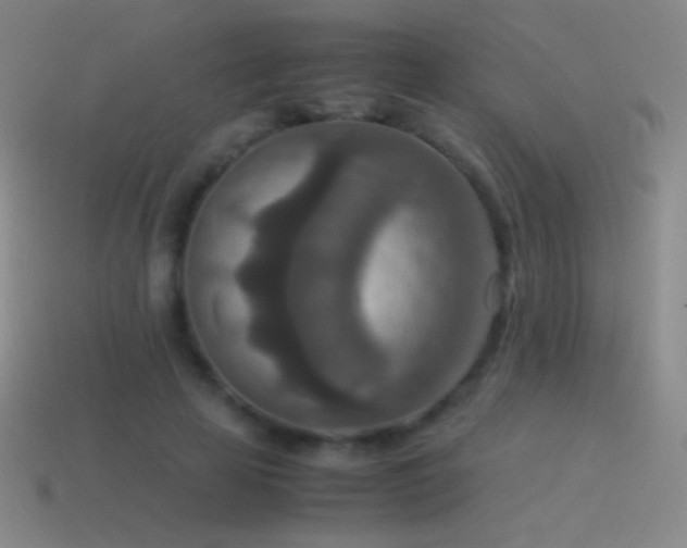 X0000115580641200911101149