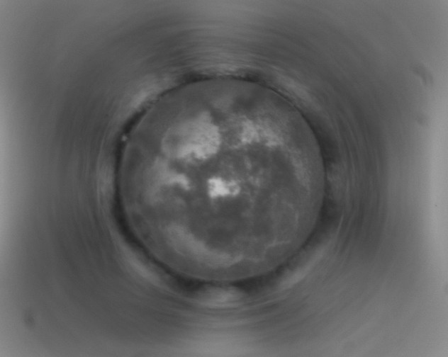 X0000115580642200911101149