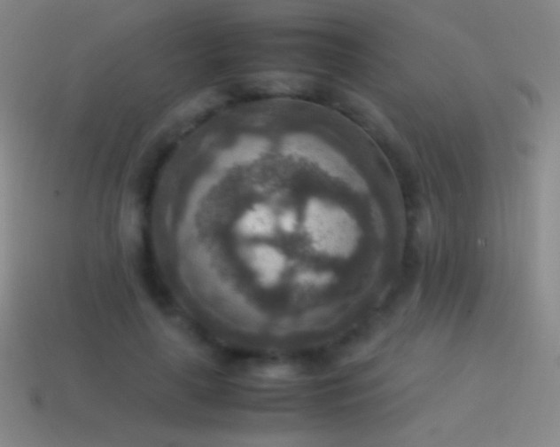 X0000115580643200911101149