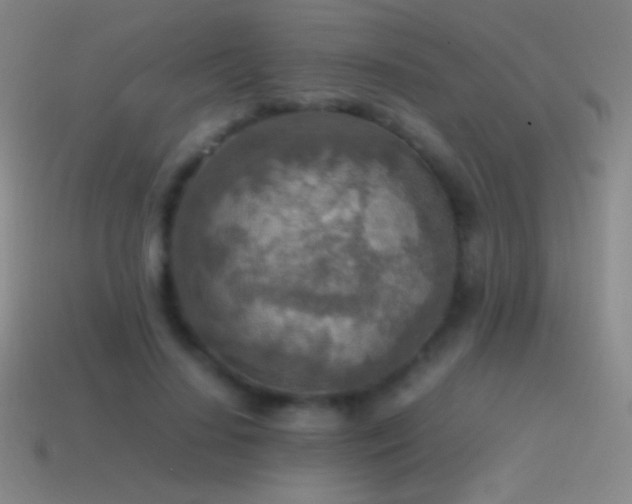 X0000115580644200911101149