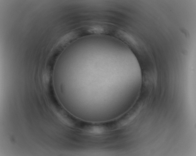 X0000115580645200911101149