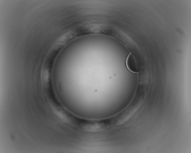 X0000115580646200911101149