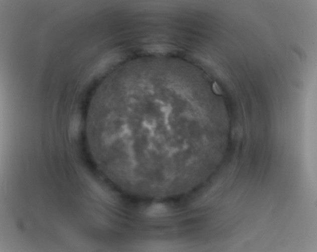 X0000115580647200911101149