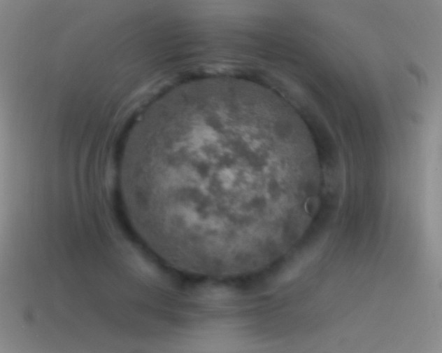 X0000115580648200911101149