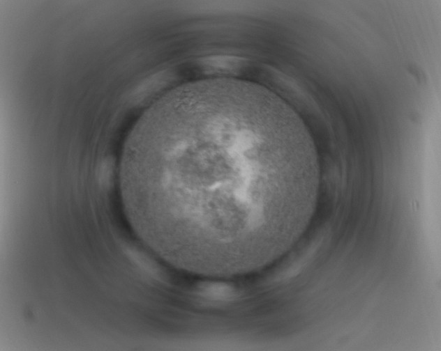 X0000115580649200911101149