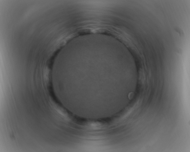 X0000115580650200911101149