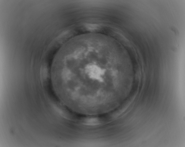 X0000115580651200911101149