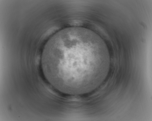 X0000115580652200911101149