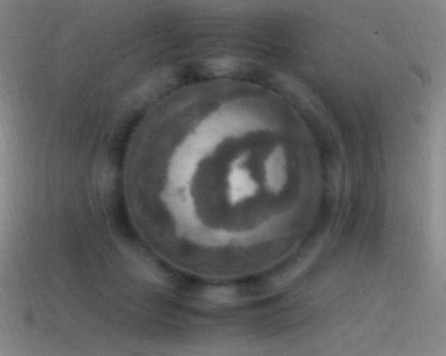 X0000115580653200911101149