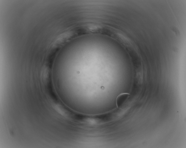 X0000115580654200911101149