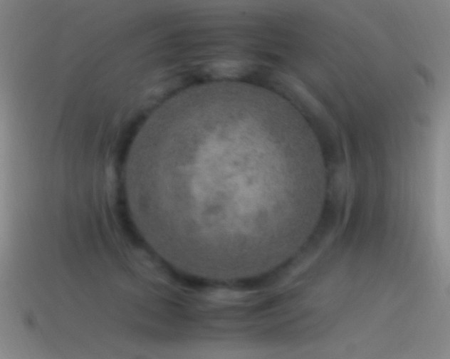 X0000115580655200911101149