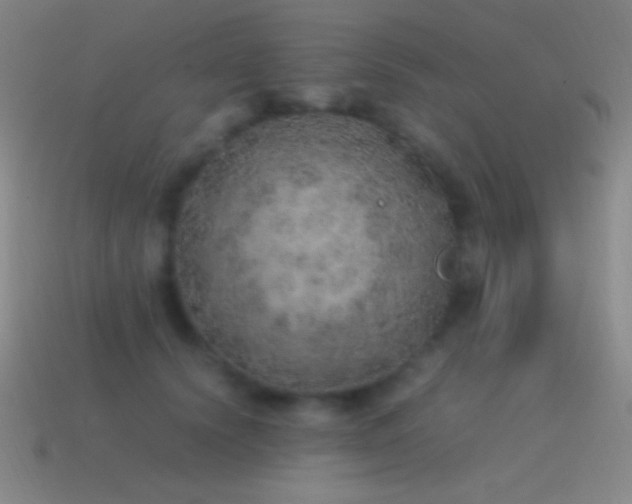 X0000115580656200911101149