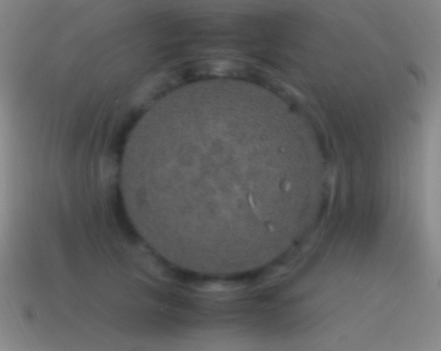 X0000115580657200911101149