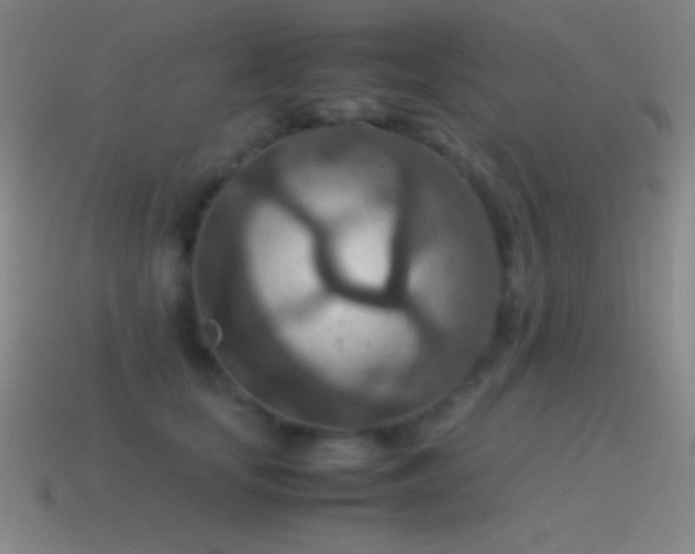 X0000115580659200911101149