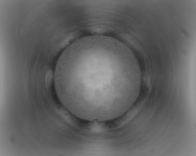 X0000115580660200911101149