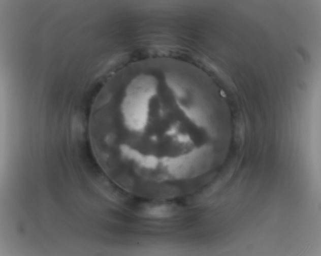 X0000115580661200911101149