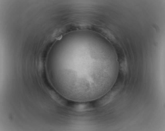 X0000115580662200911101149