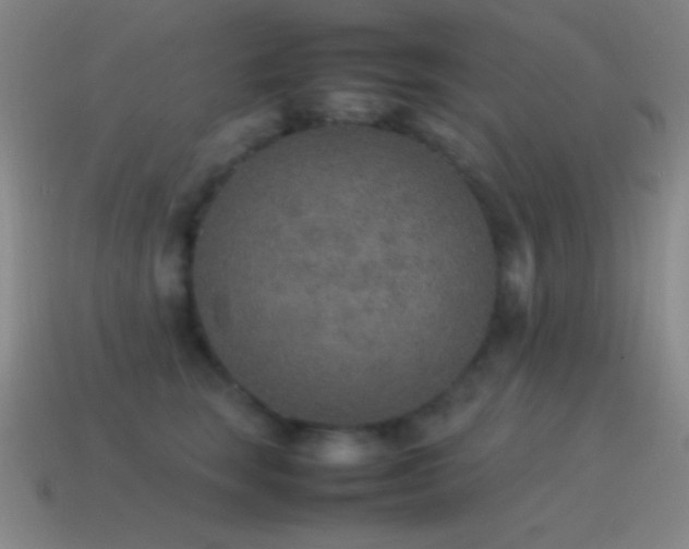 X0000115580663200911101149