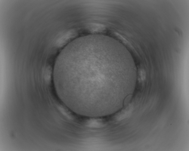 X0000115580664200911101149