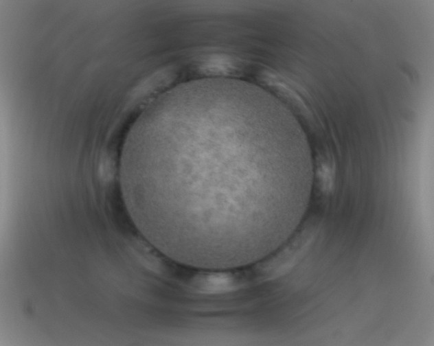 X0000115580665200911101149