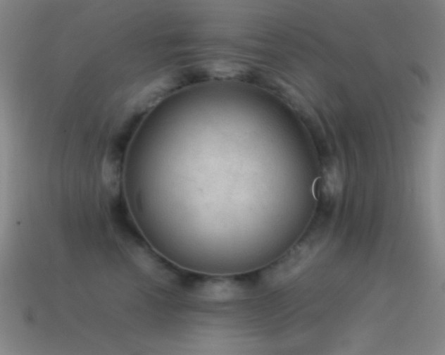 X0000115580666200911101149